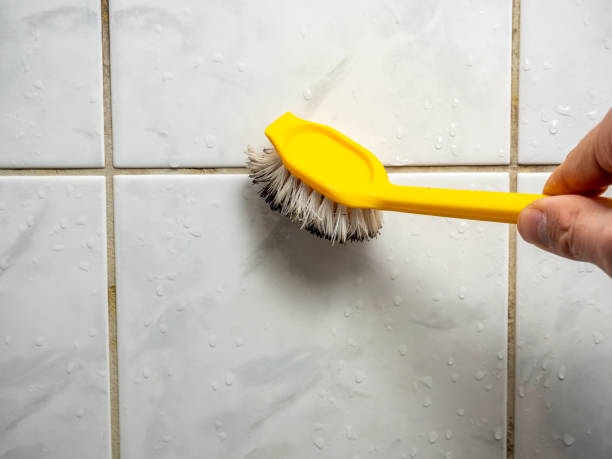 Best Mold Removal Company Near Me  in Folsom, PA