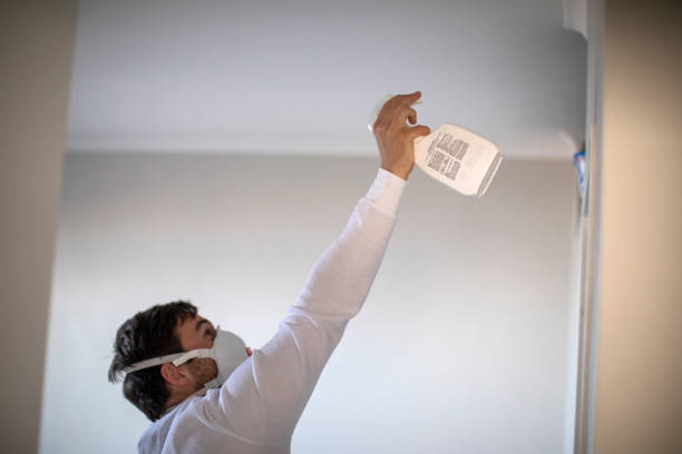 Best Mold Cleaning Services  in Folsom, PA