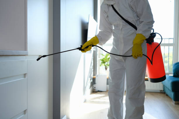 Folsom, PA Mold Removal Company