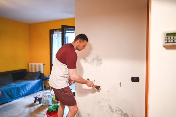 Best Professional Mold Removal  in Folsom, PA