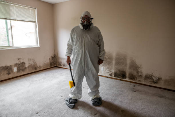 Best Crawl Space Mold Removal  in Folsom, PA